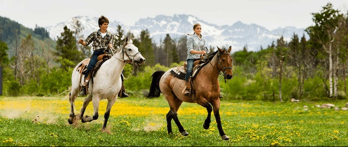 Confident plus-size woman riding Oxshott a horse through a field with a smile on her face.